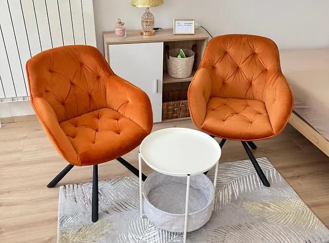 Appartement Top Location Vienne